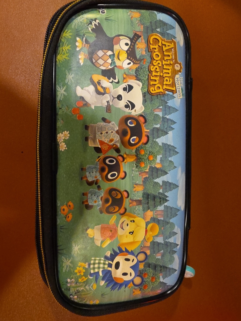 Nintendo Switch Carrying Case